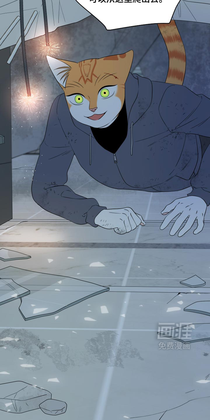 第216话12