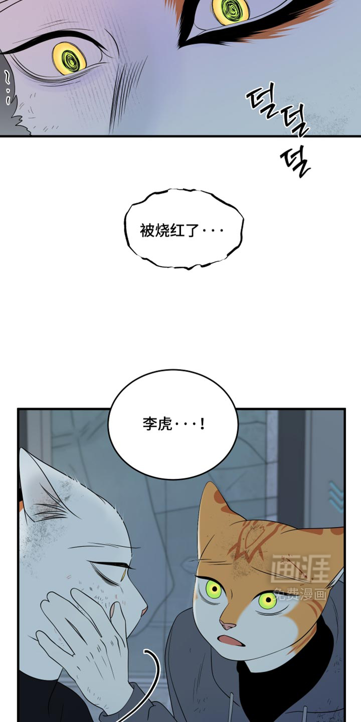 第216话15