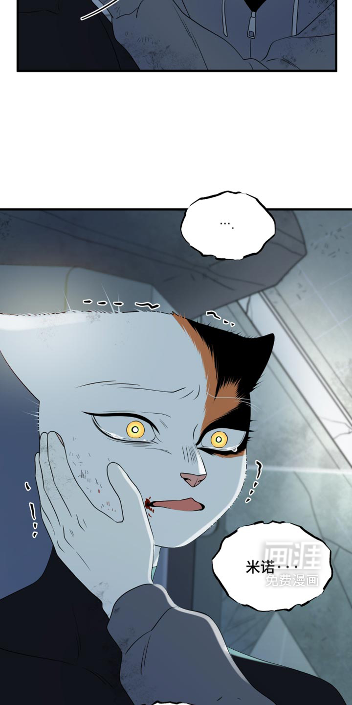 第216话16