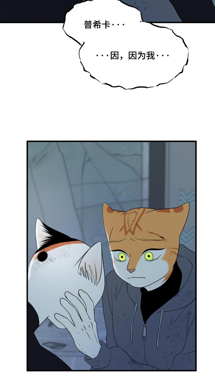 第216话17
