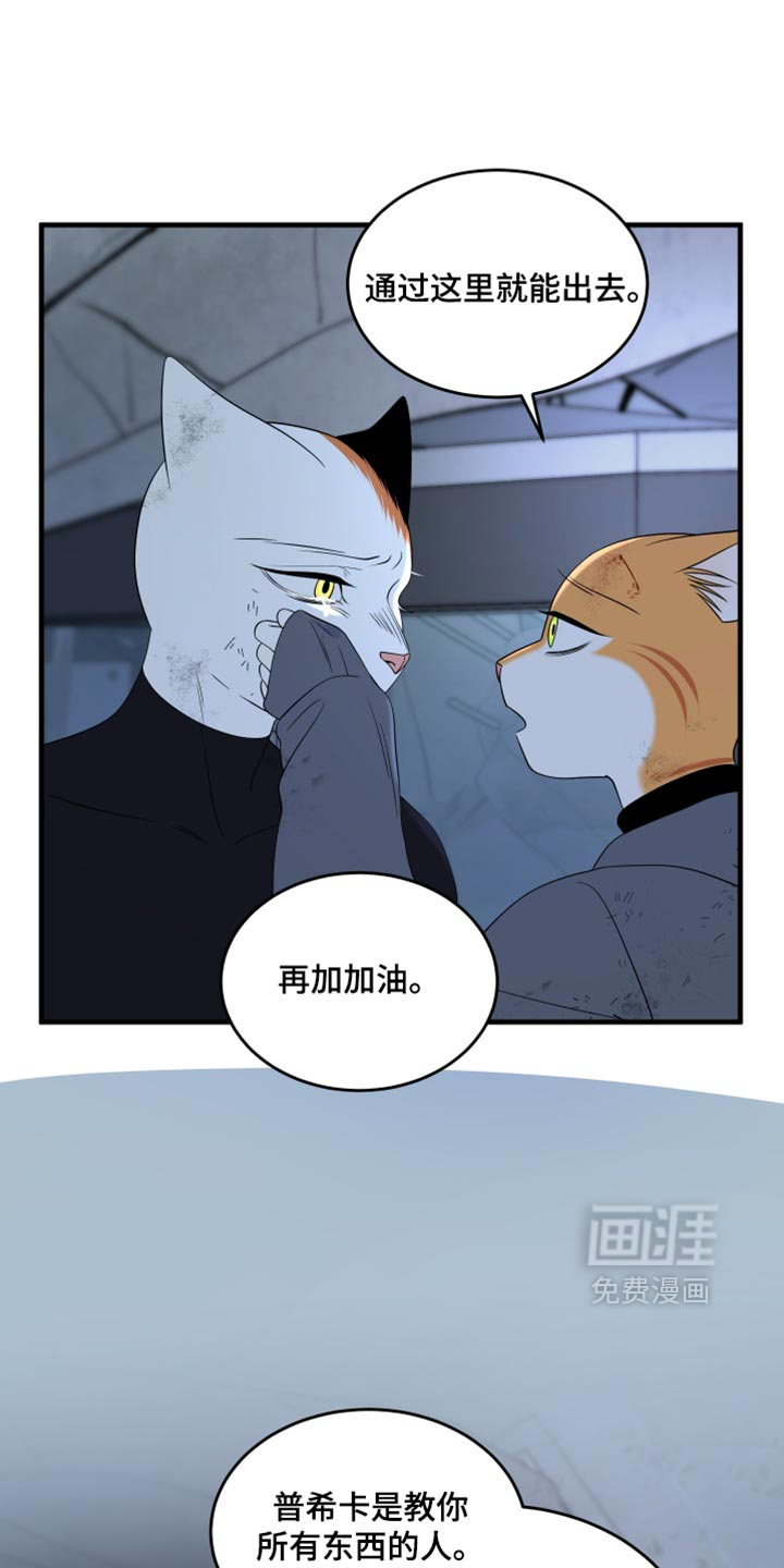第216话18