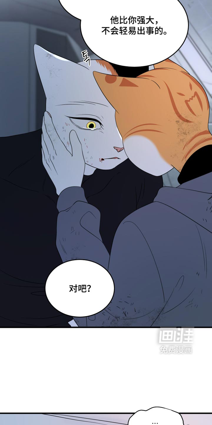 第216话19