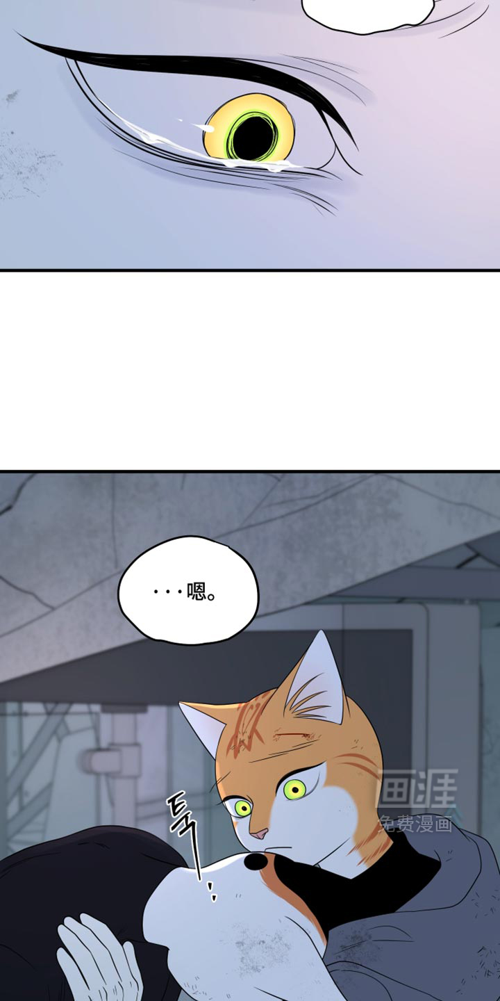 第216话20