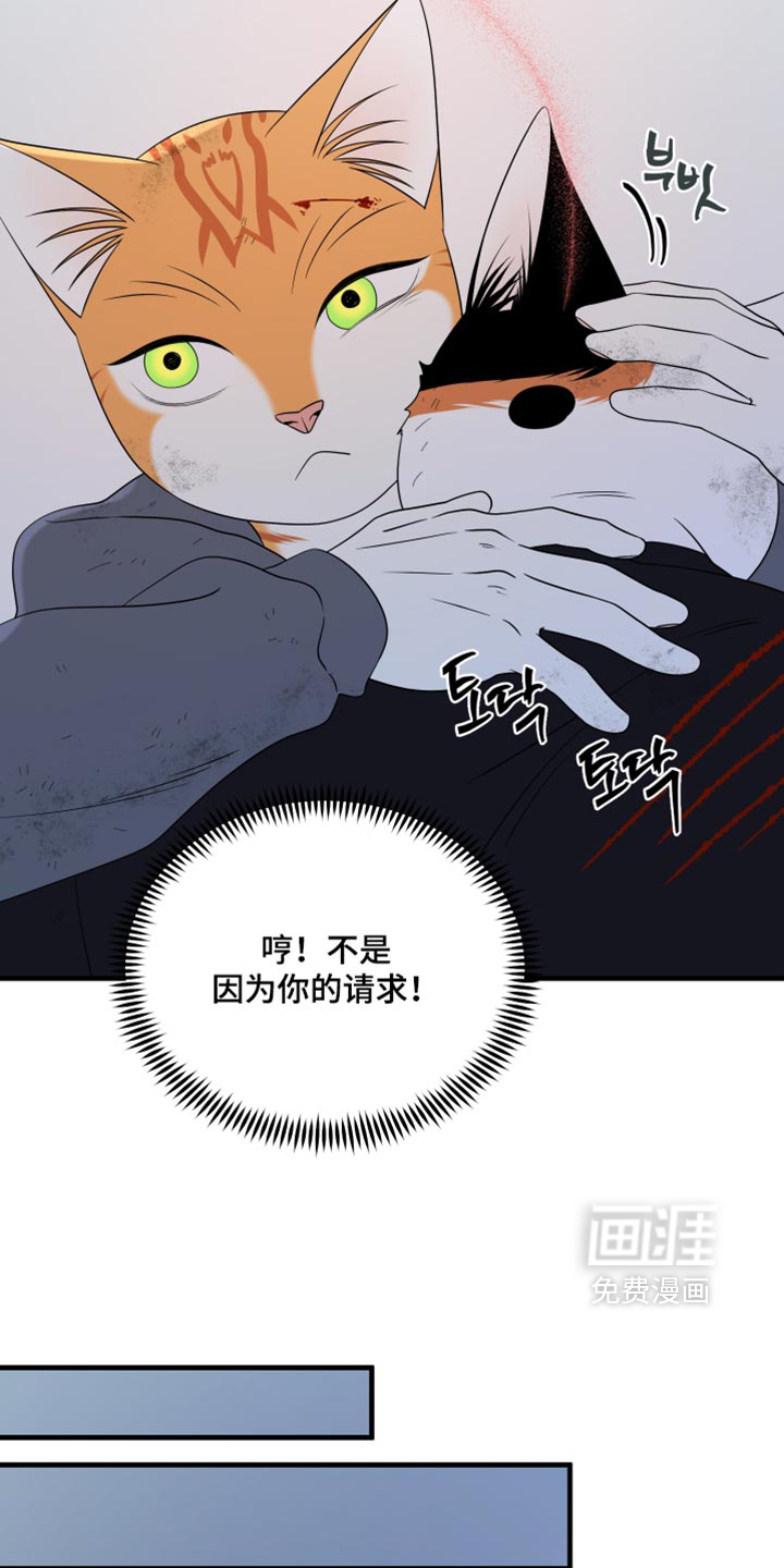 第216话22