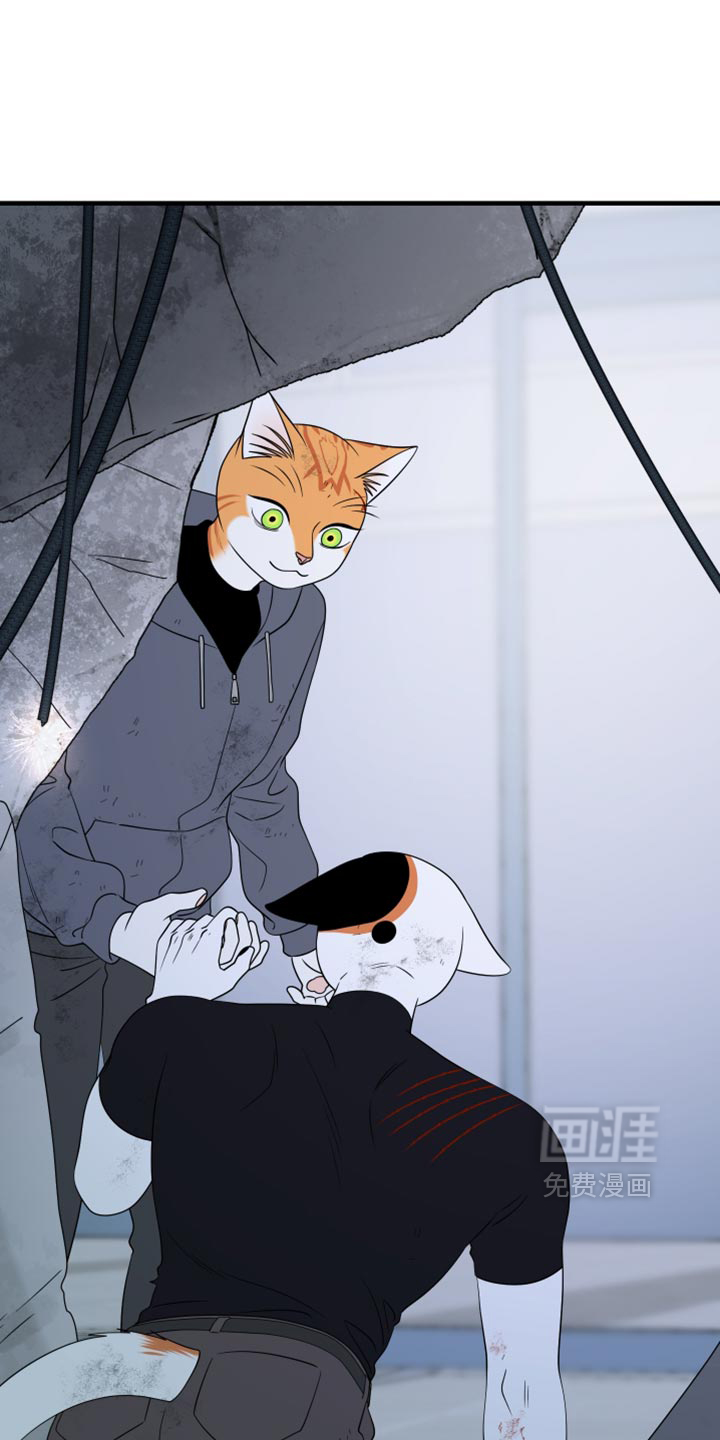 第216话24