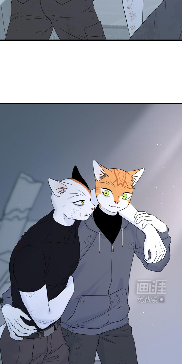 第216话25