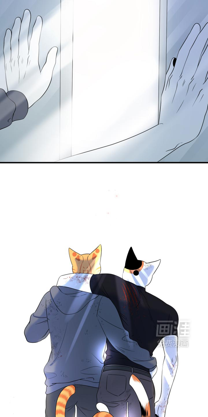 第216话27