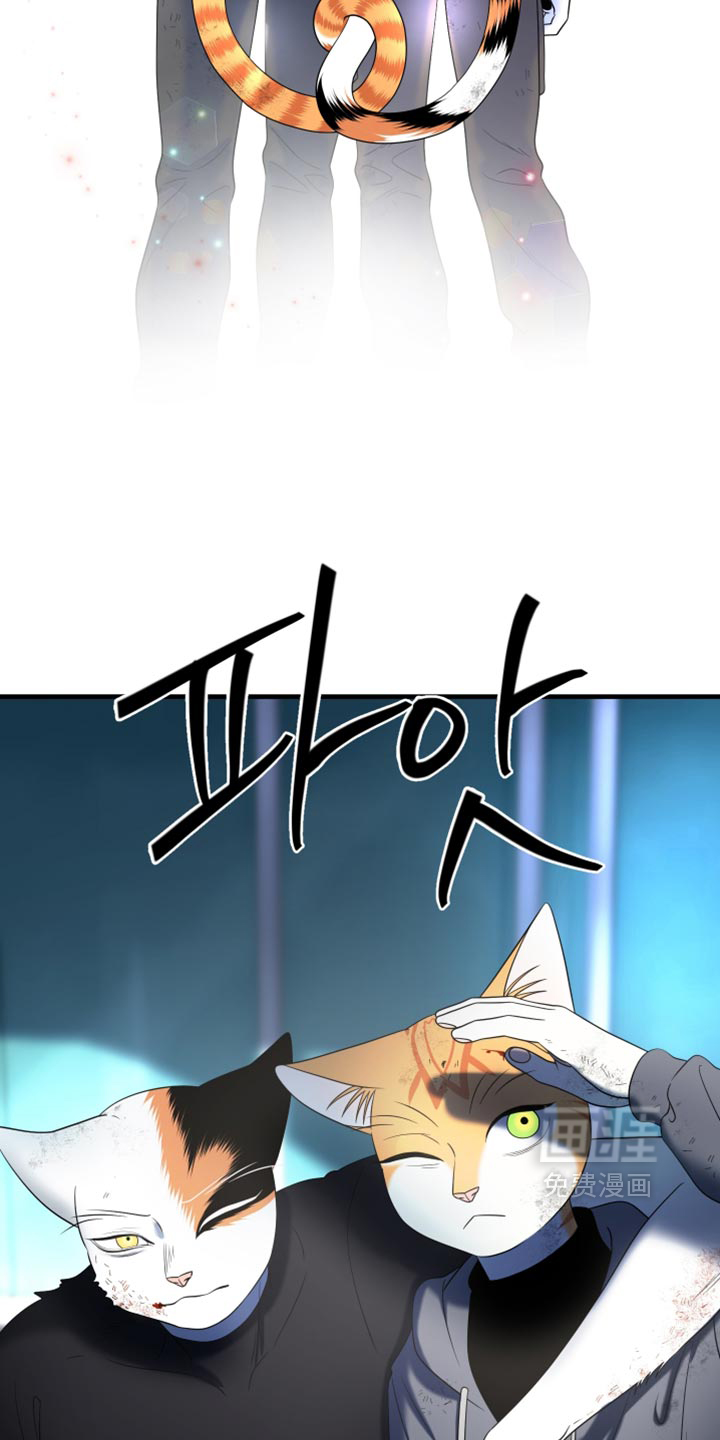 第216话28