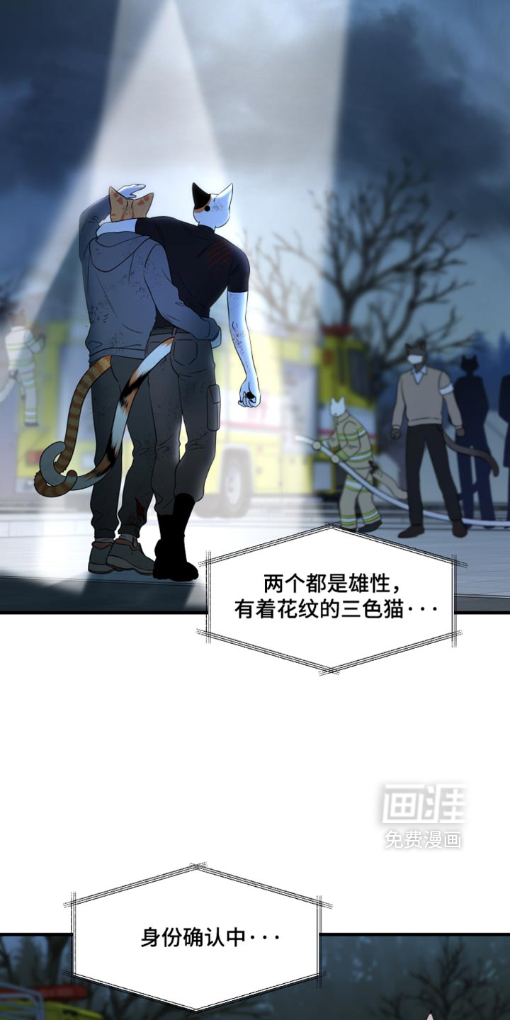 第216话30
