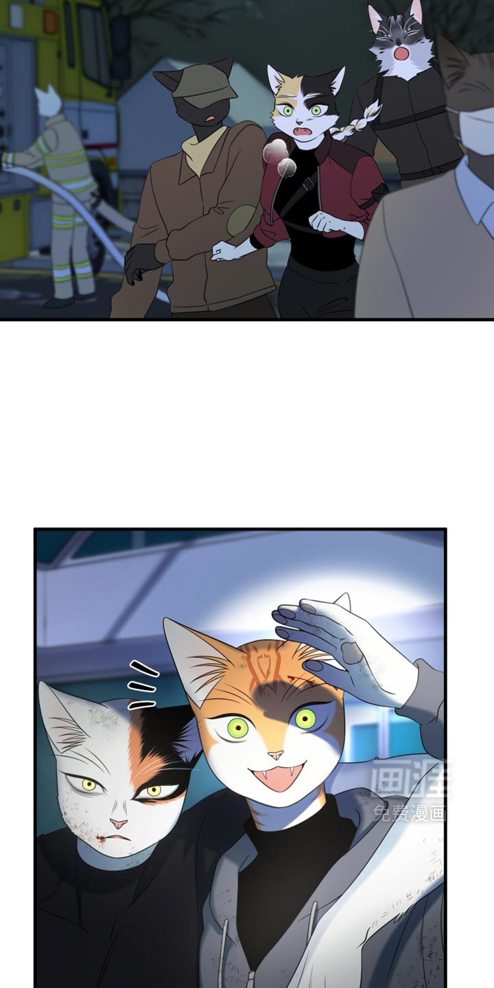 第216话31