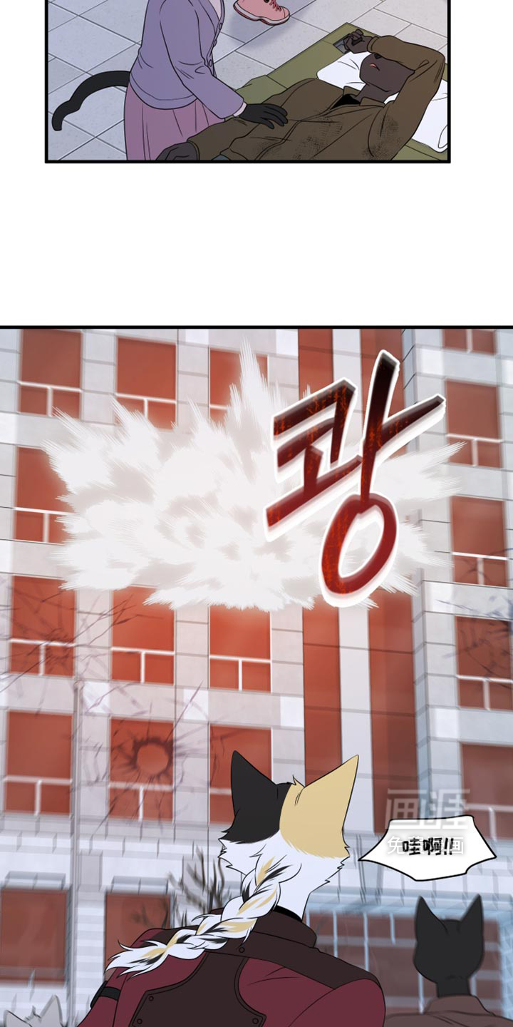 第216话5