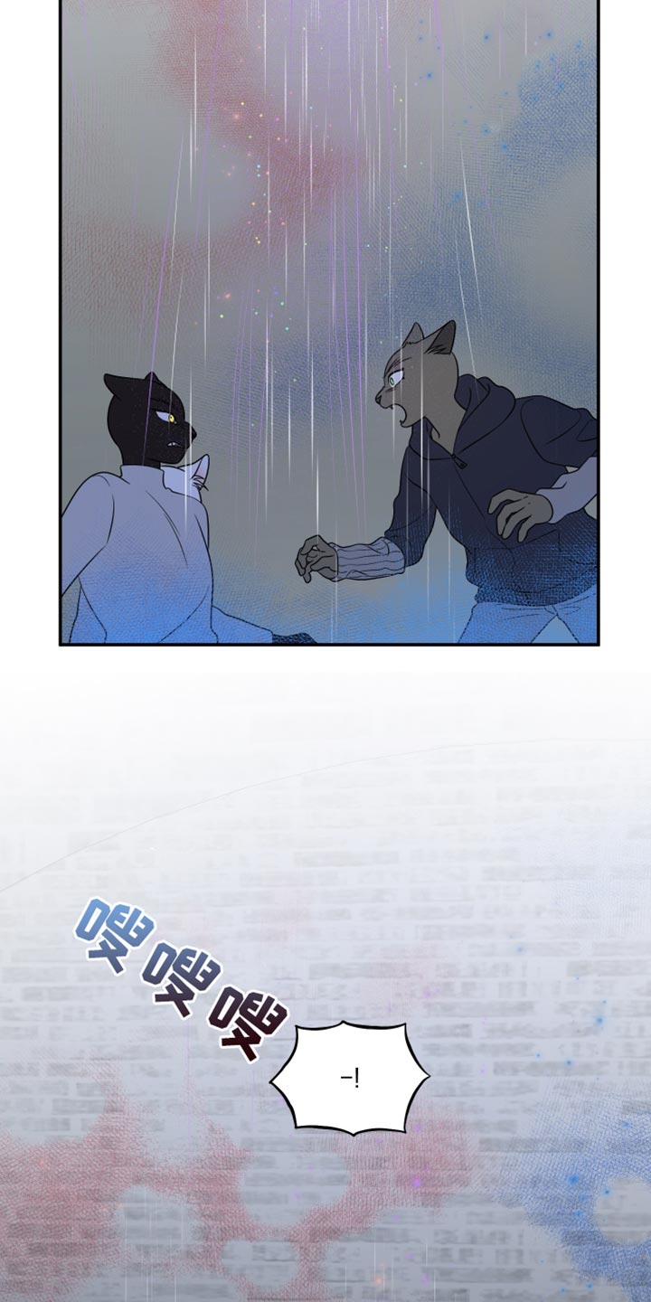 第148话17