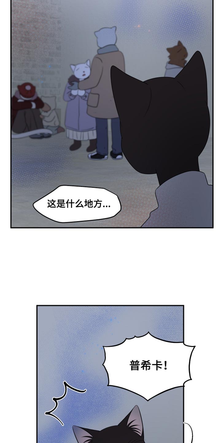 第148话11