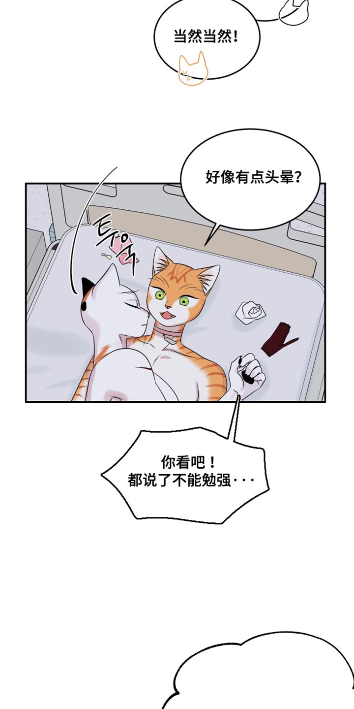 第168话14