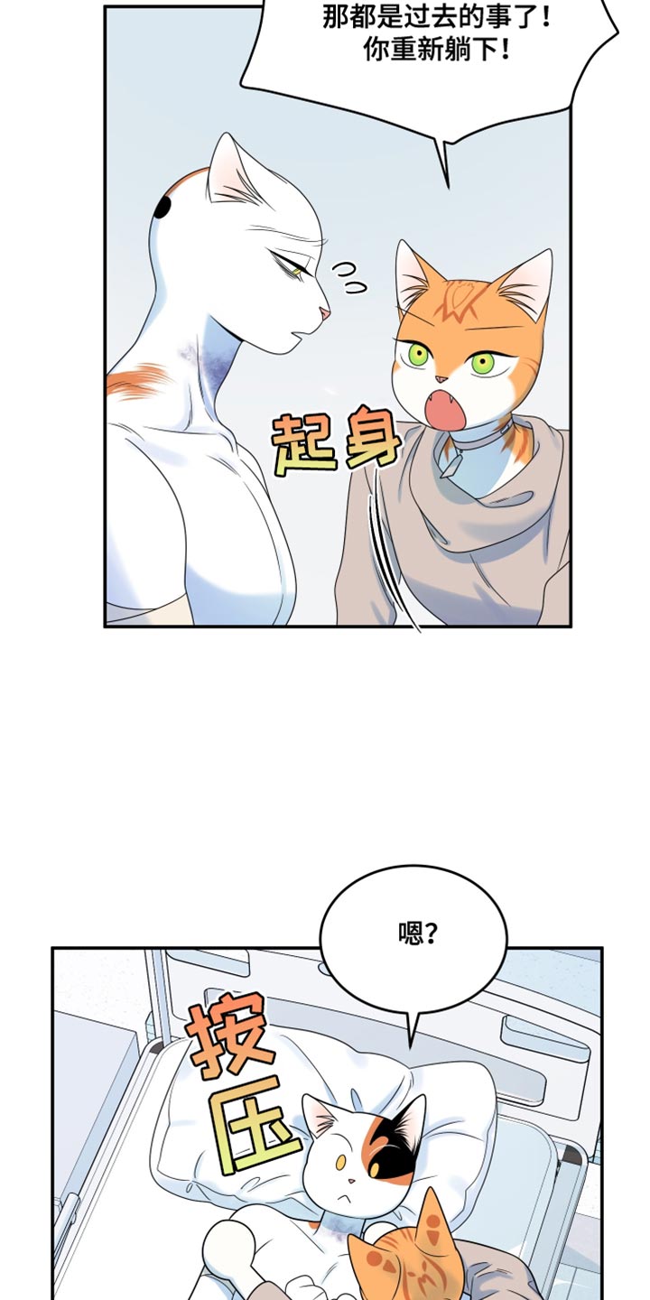 第166话26