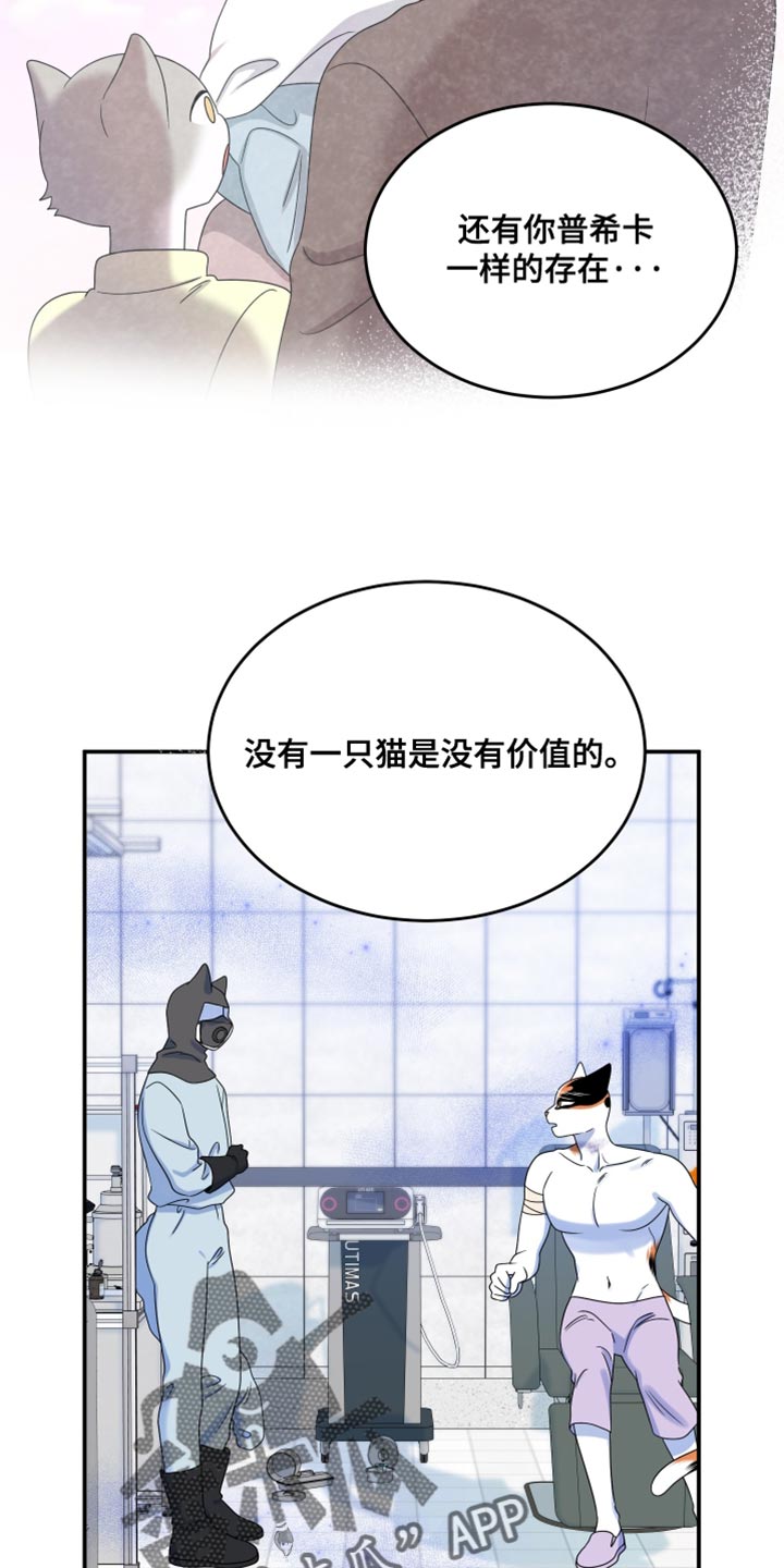 第164话2