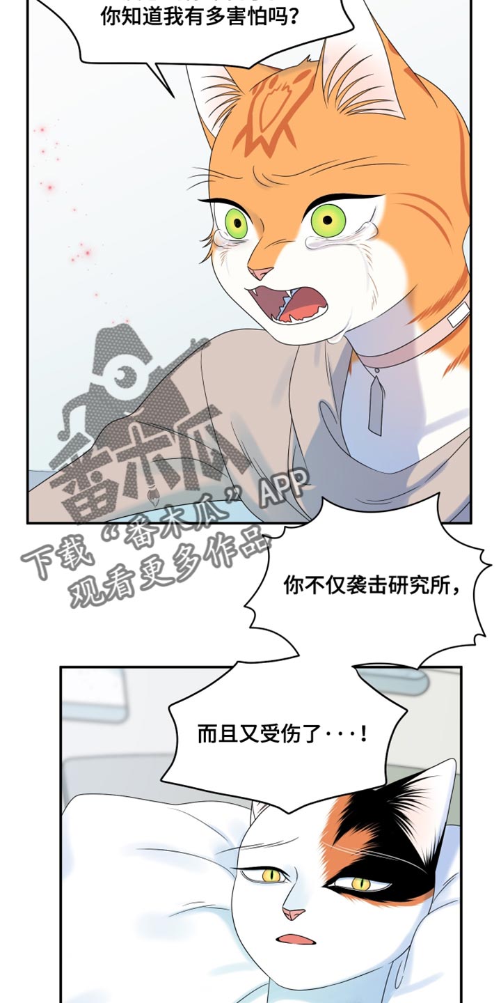 第166话19