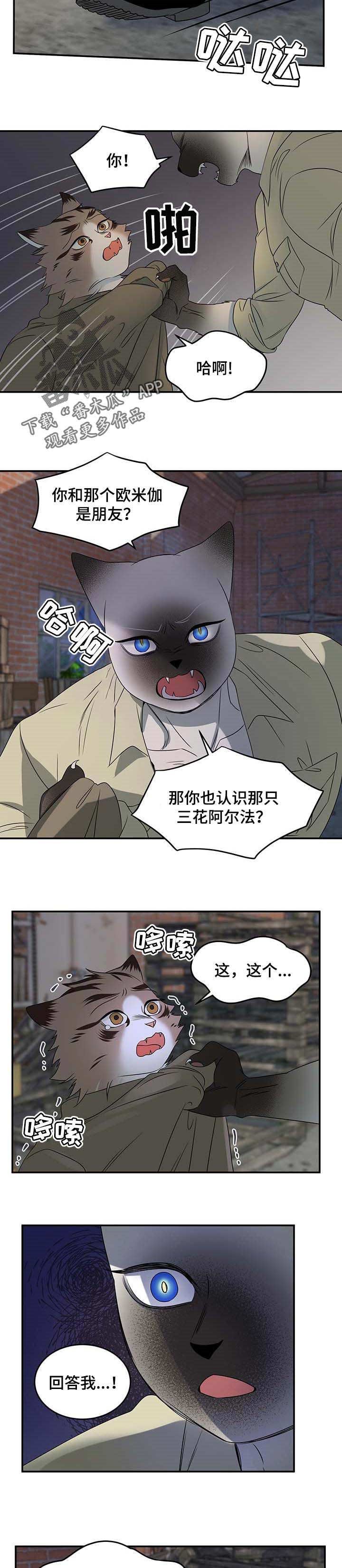 第31话4