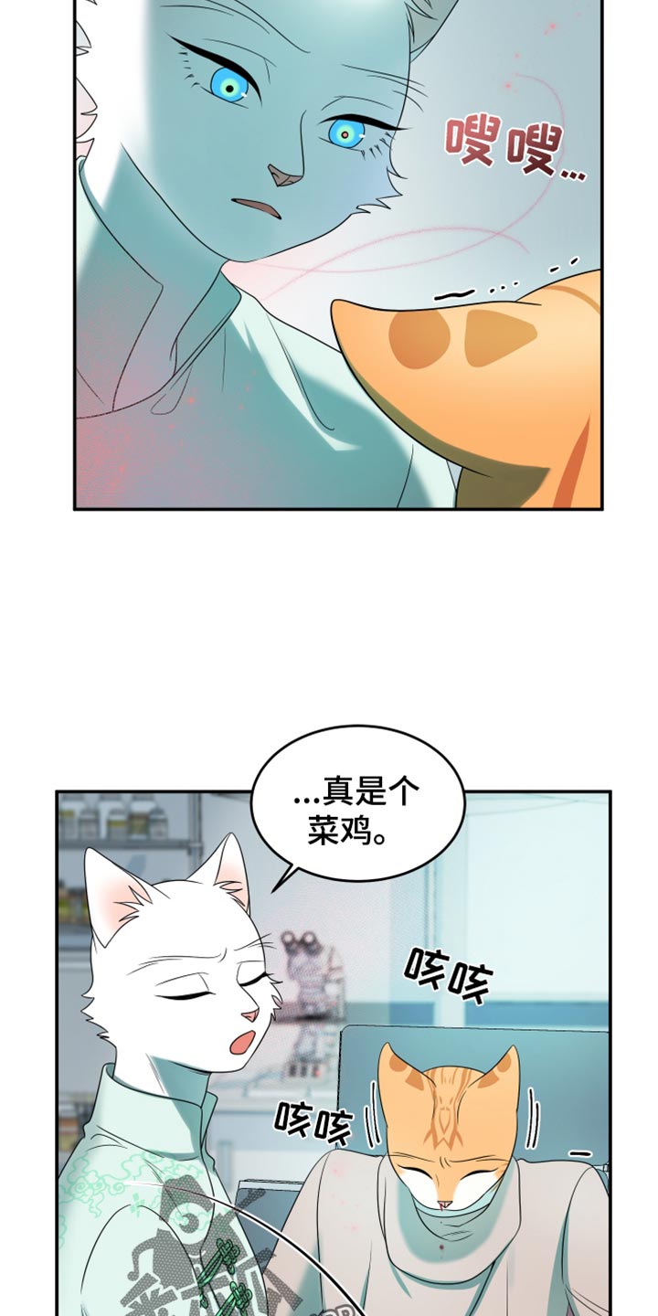 第119话6