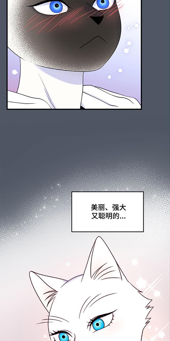 第77话17