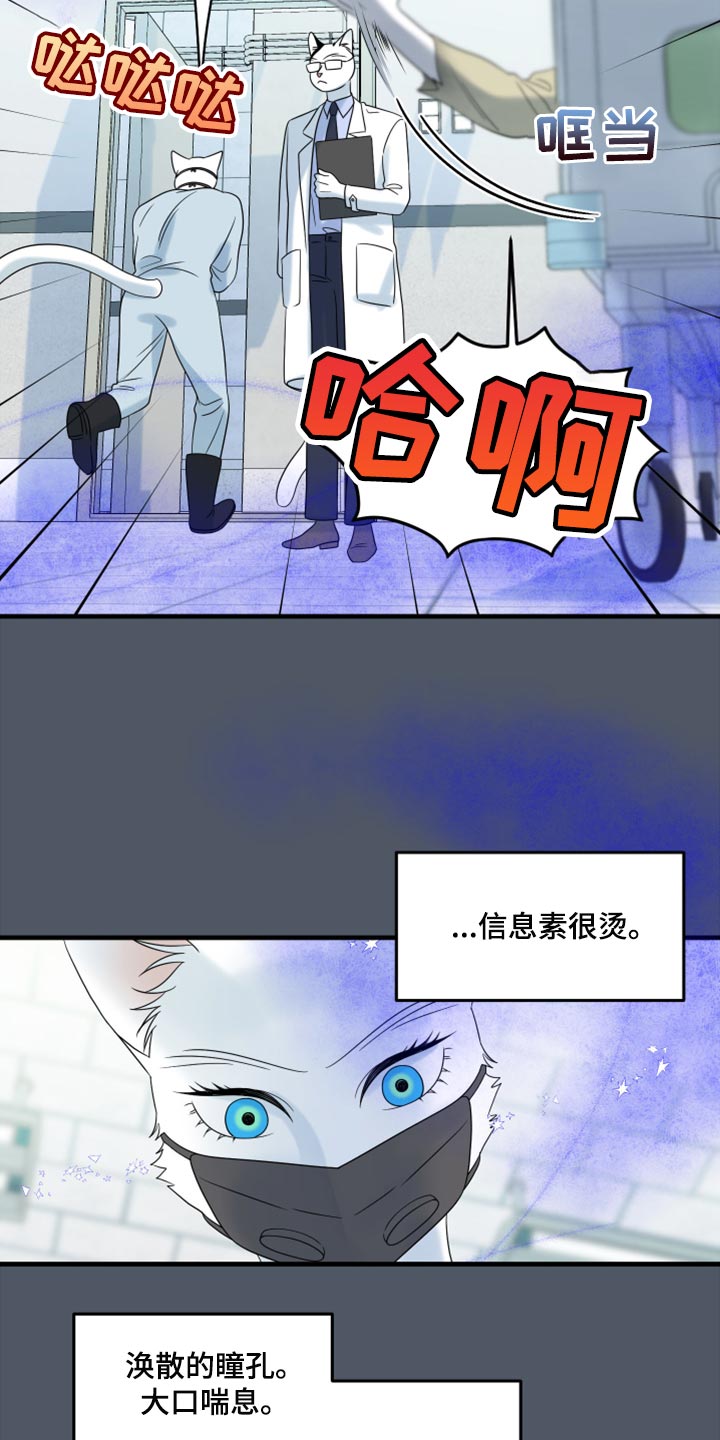 第85话13