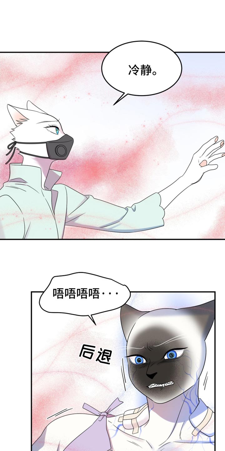 第130话11