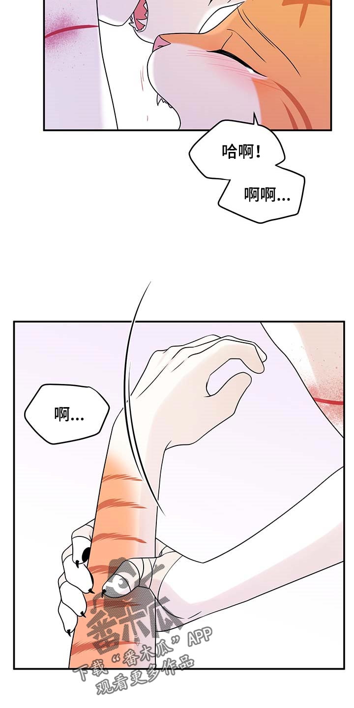 第47话6