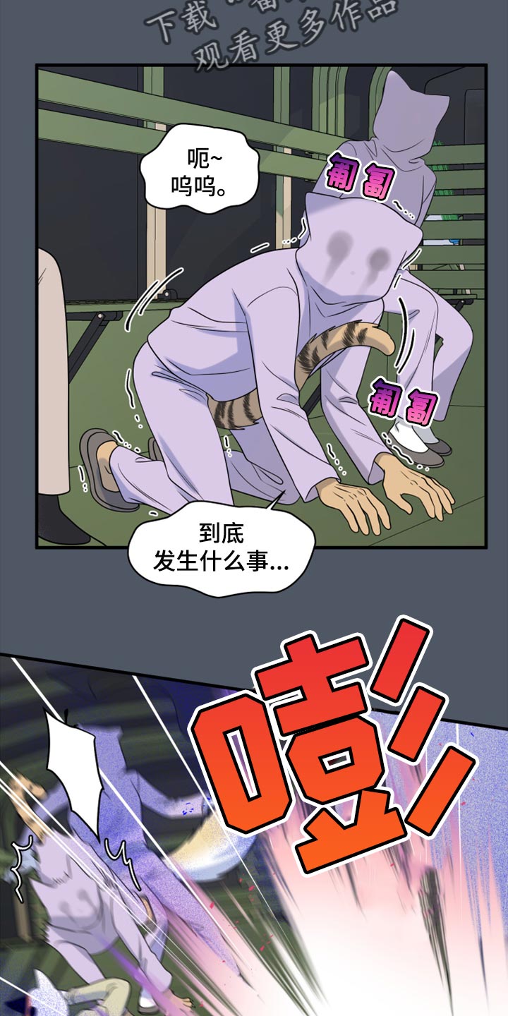 第81话6