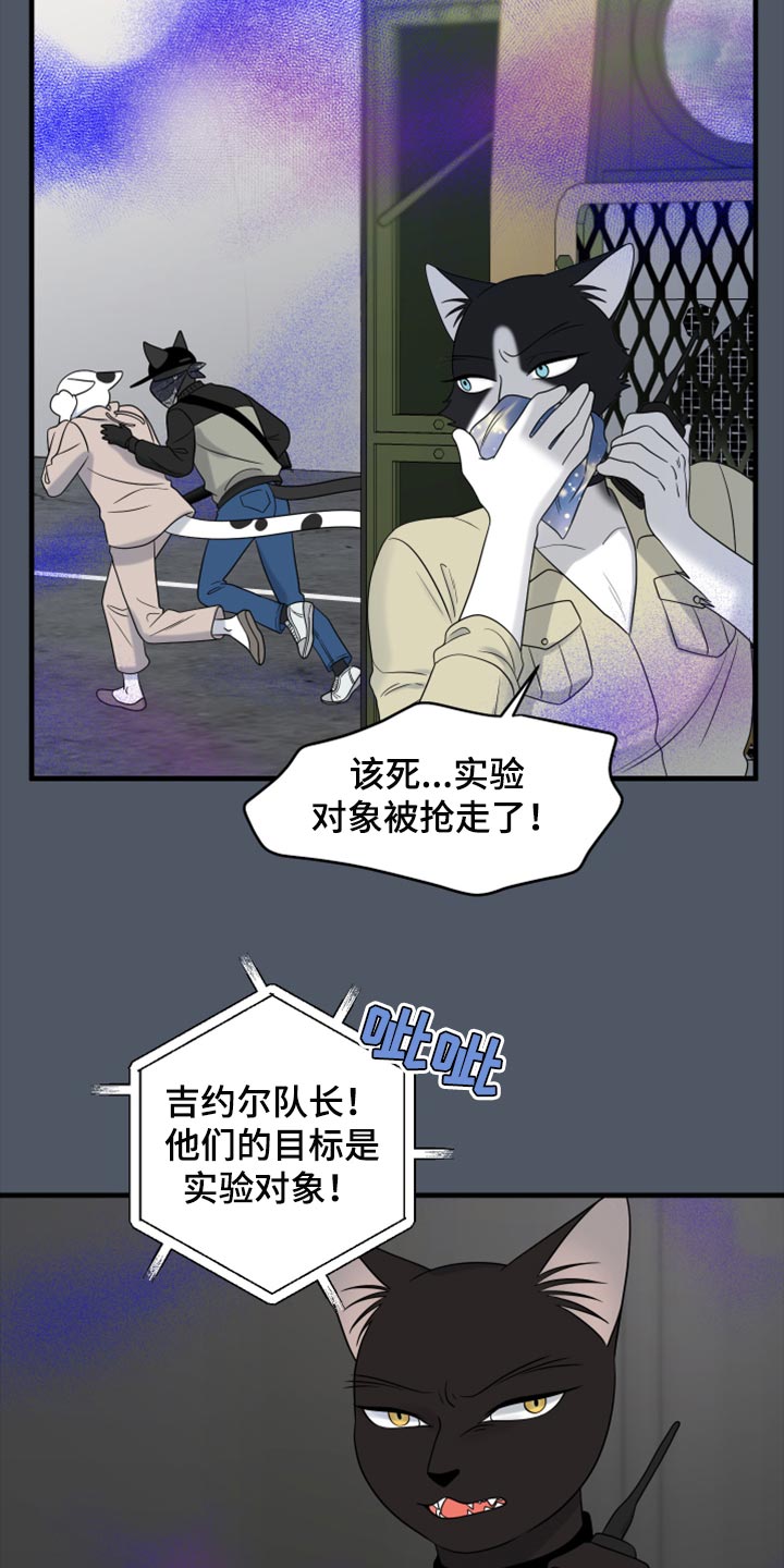 第81话12