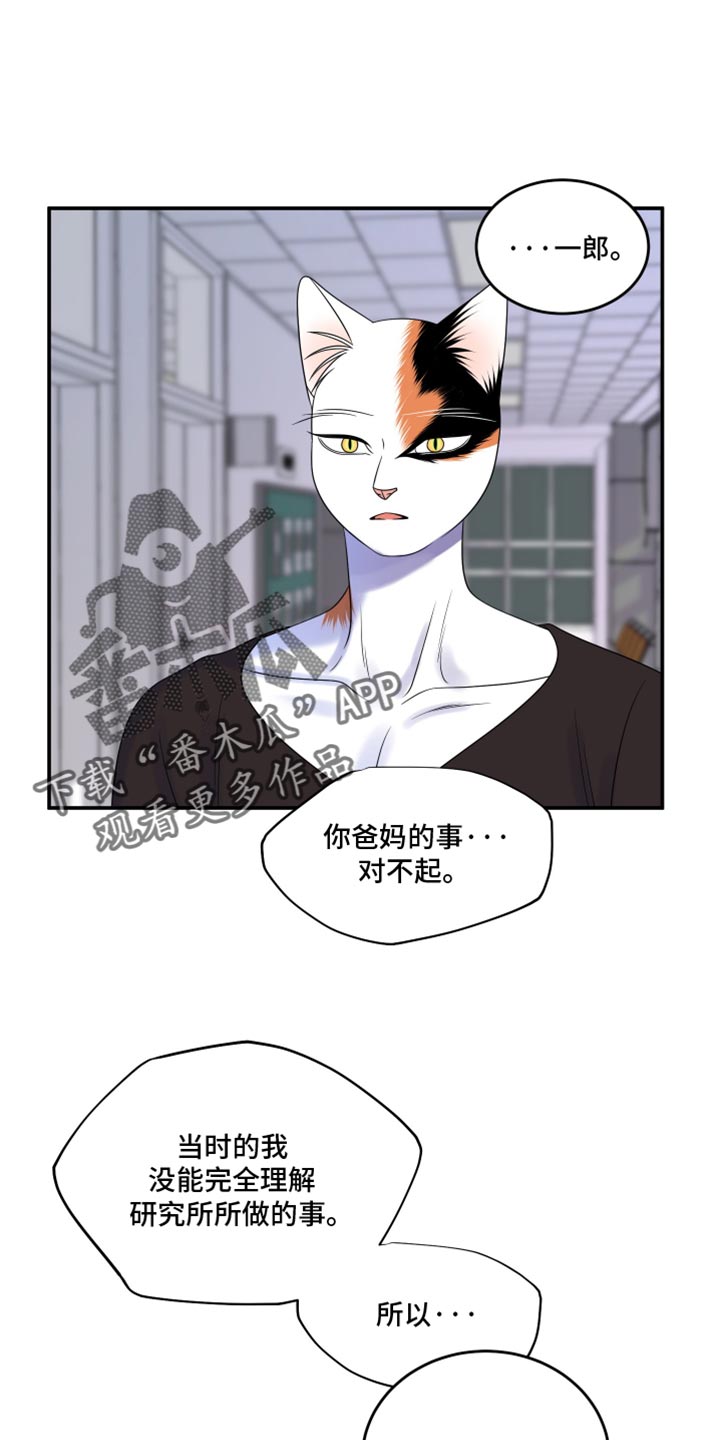 第116话12