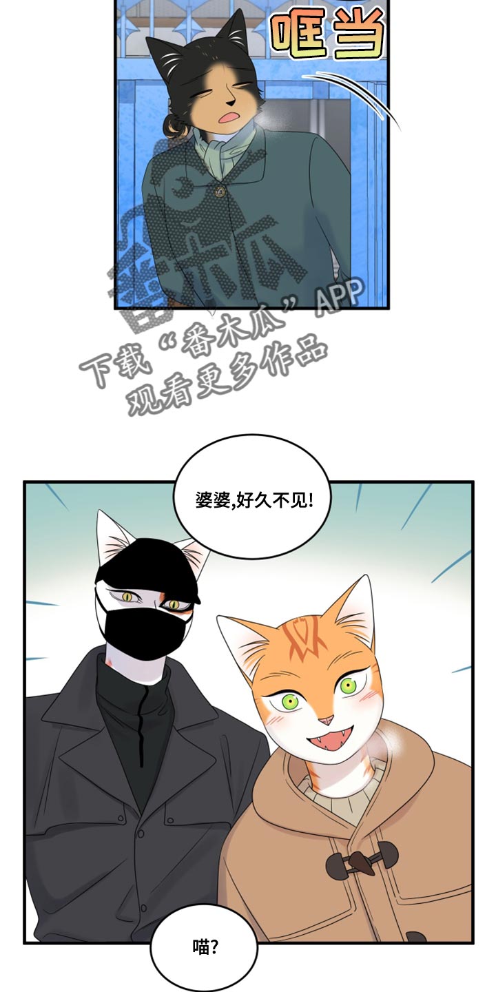 第101话2