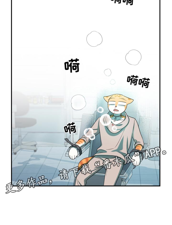 第119话17