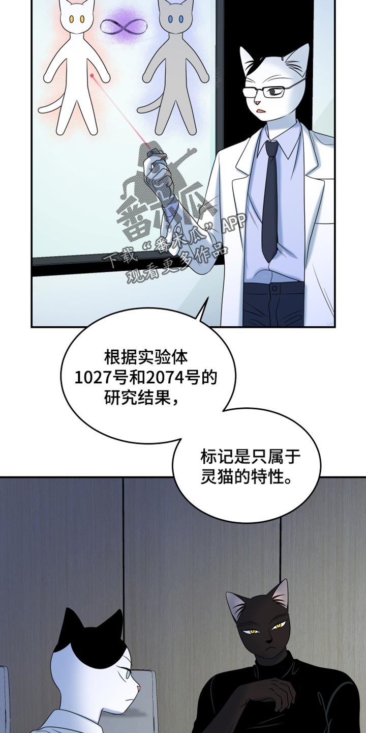 第120话4