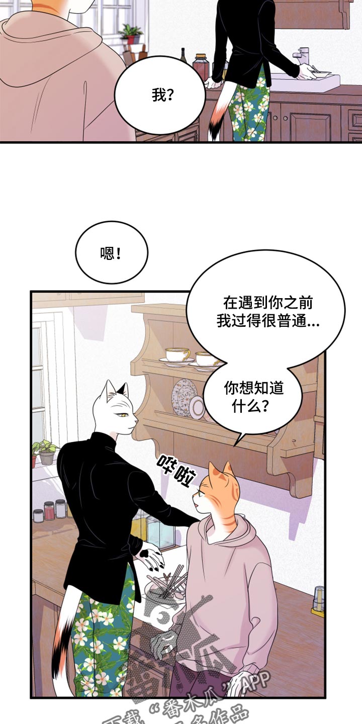 第74话4