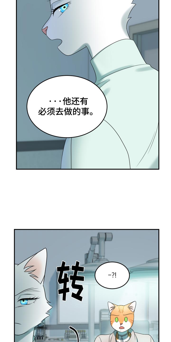 第119话11