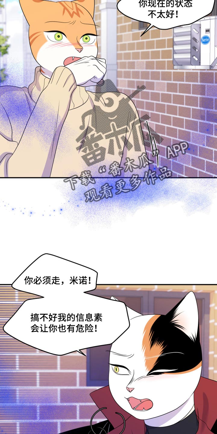 第49话10