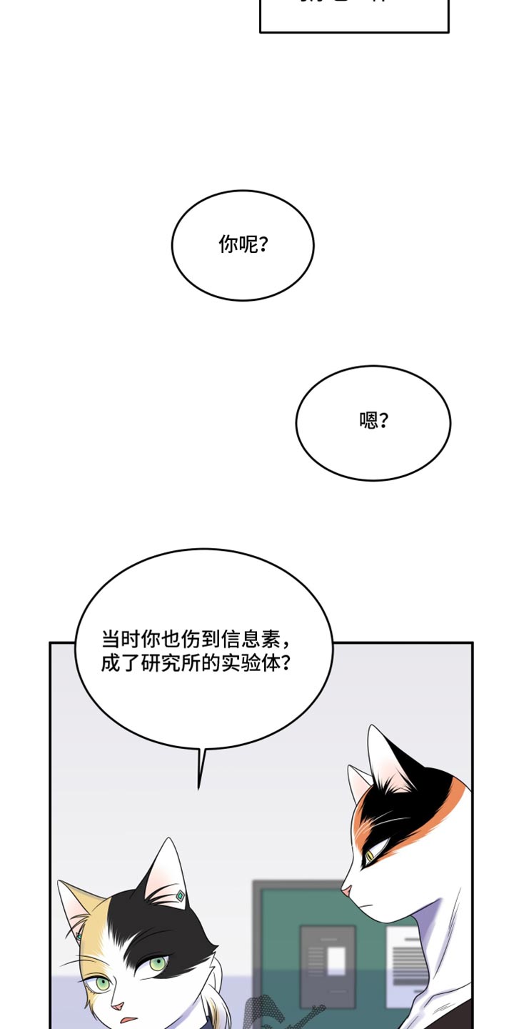 第117话1