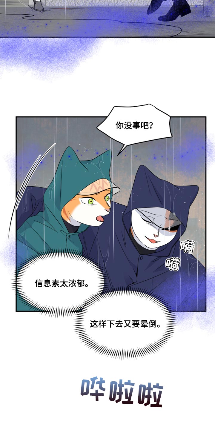 第53话6