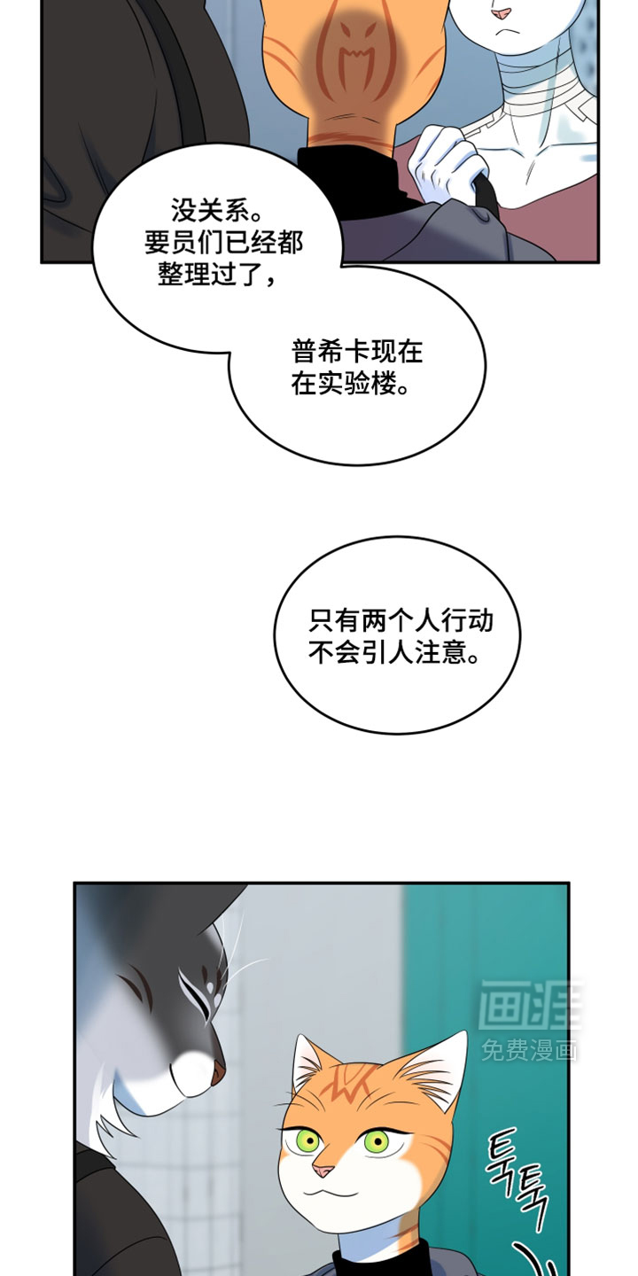 第203话10
