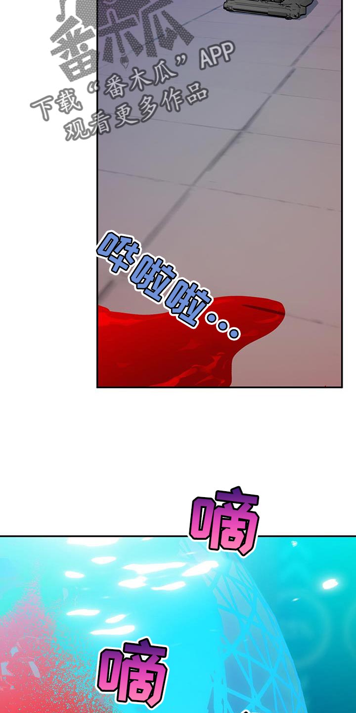 第117话33