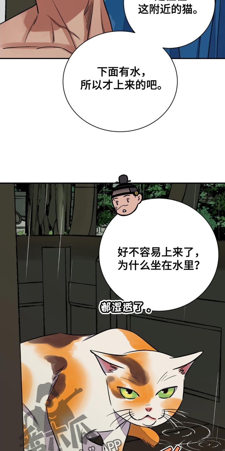 第118话14