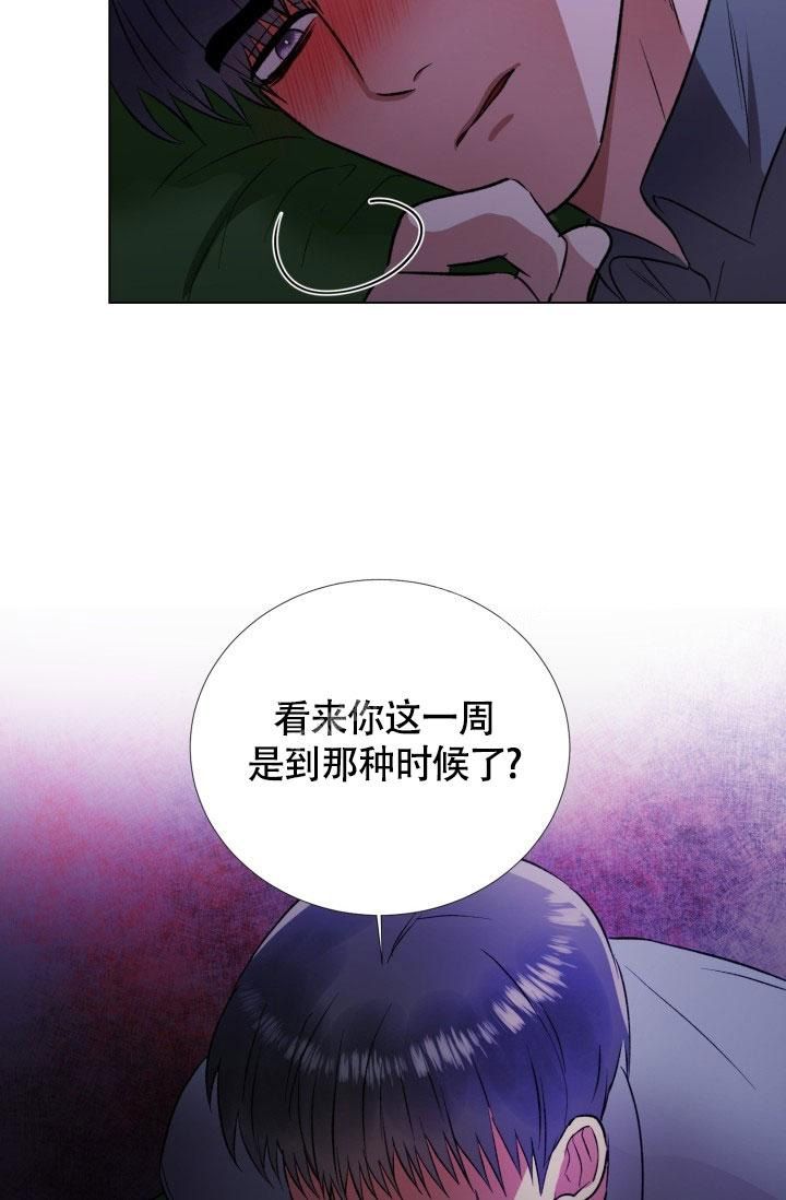 第14话6