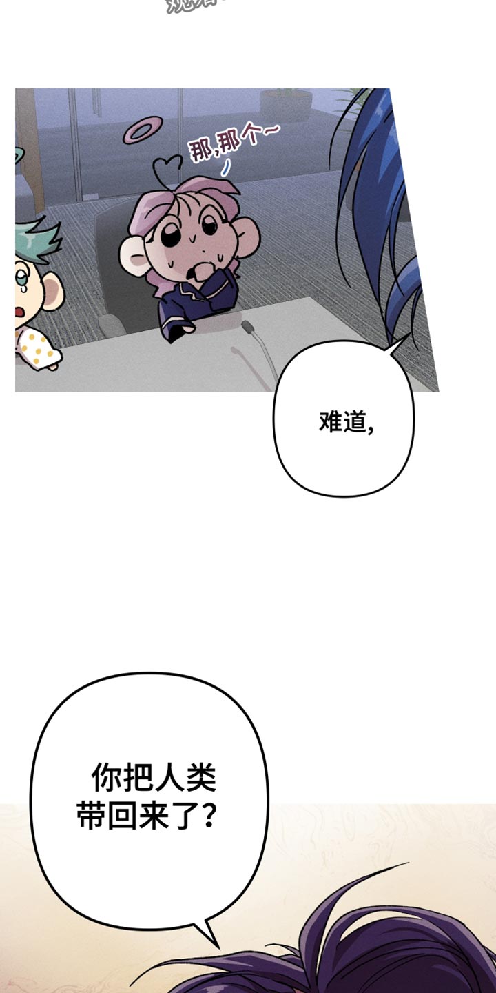 第115话24