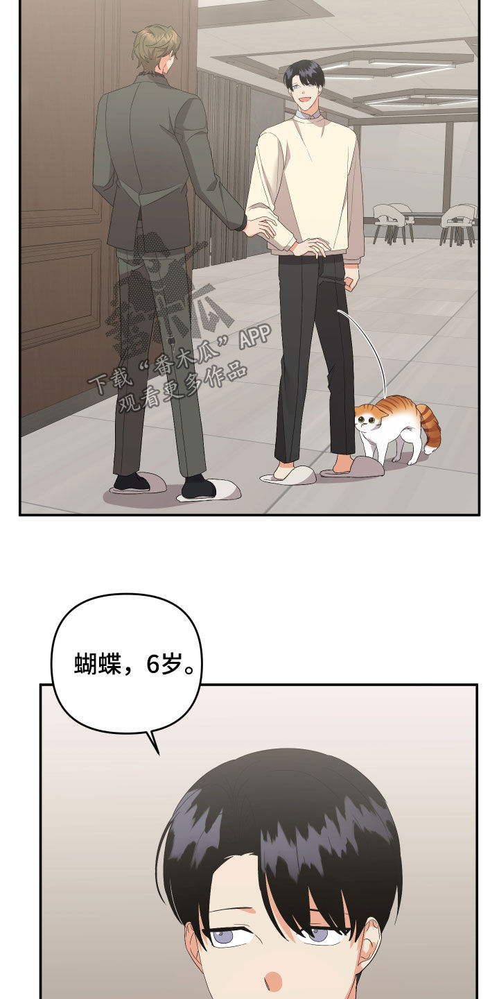 第115话2