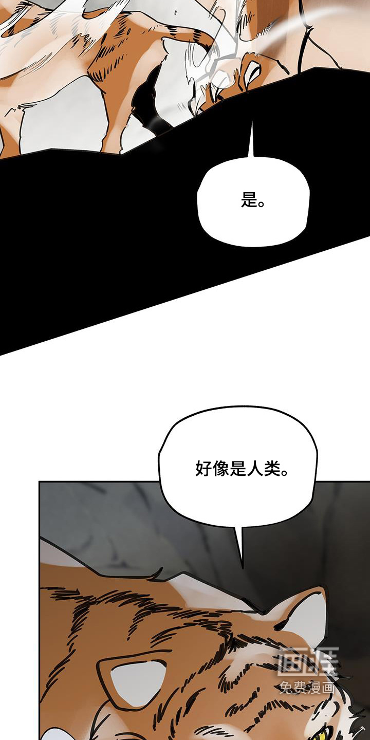 第171话13