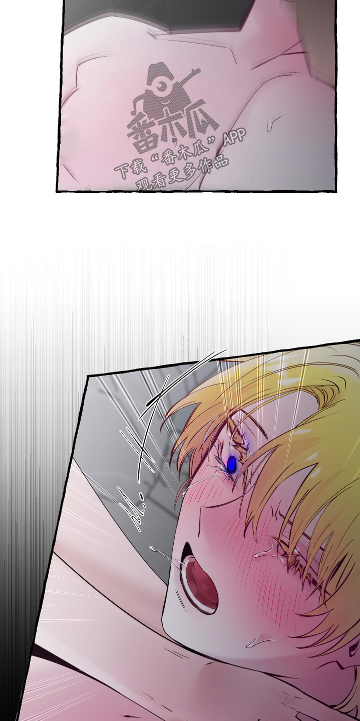 第152话8
