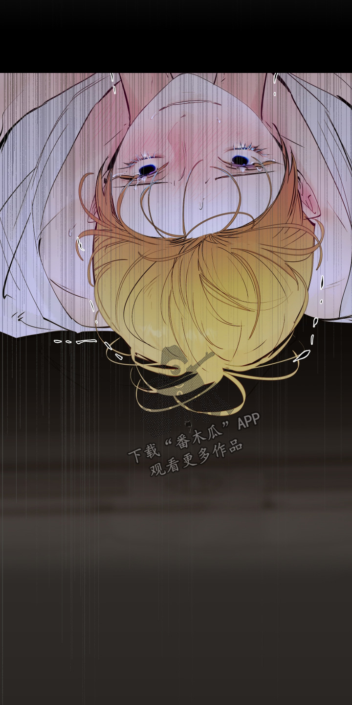第147话7