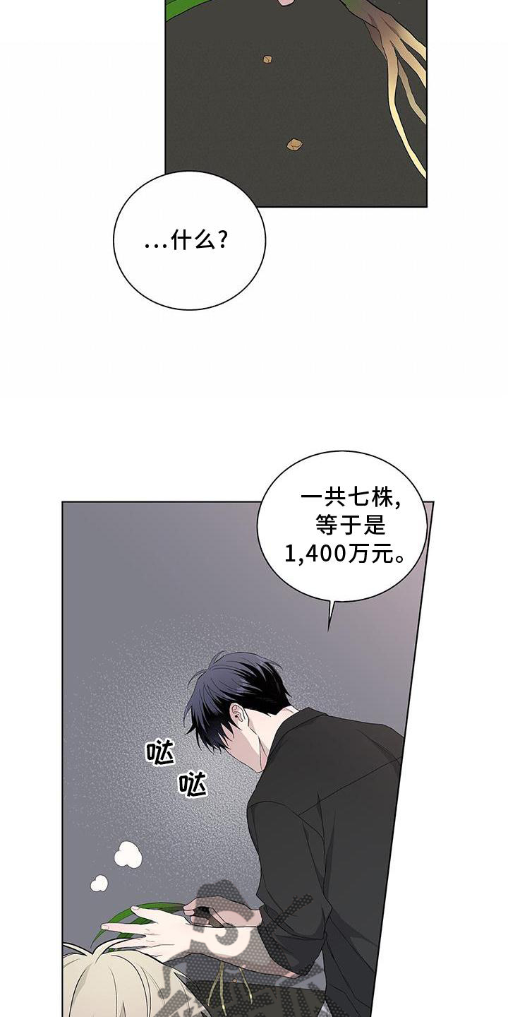 第33话10