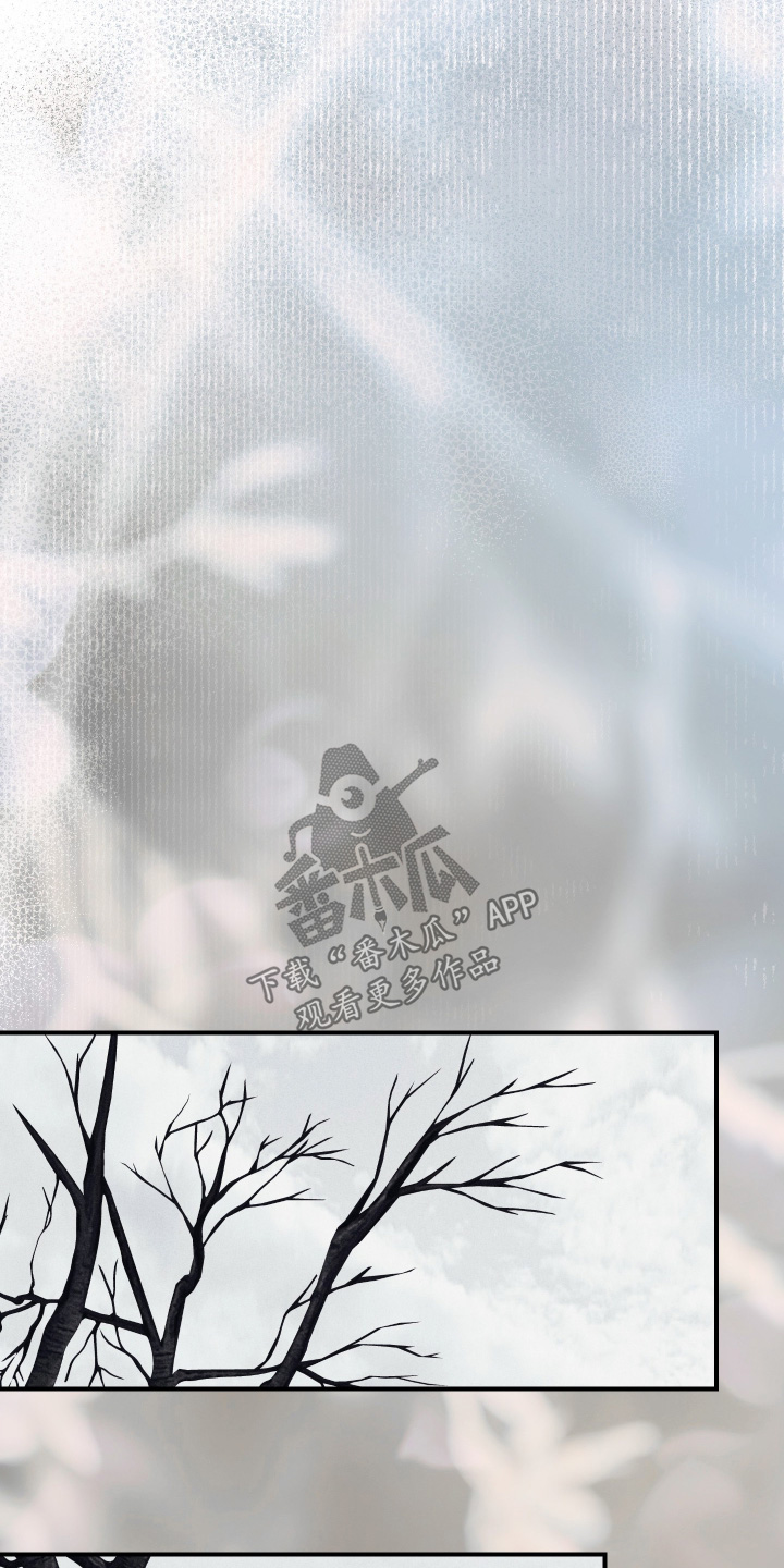 第146话21
