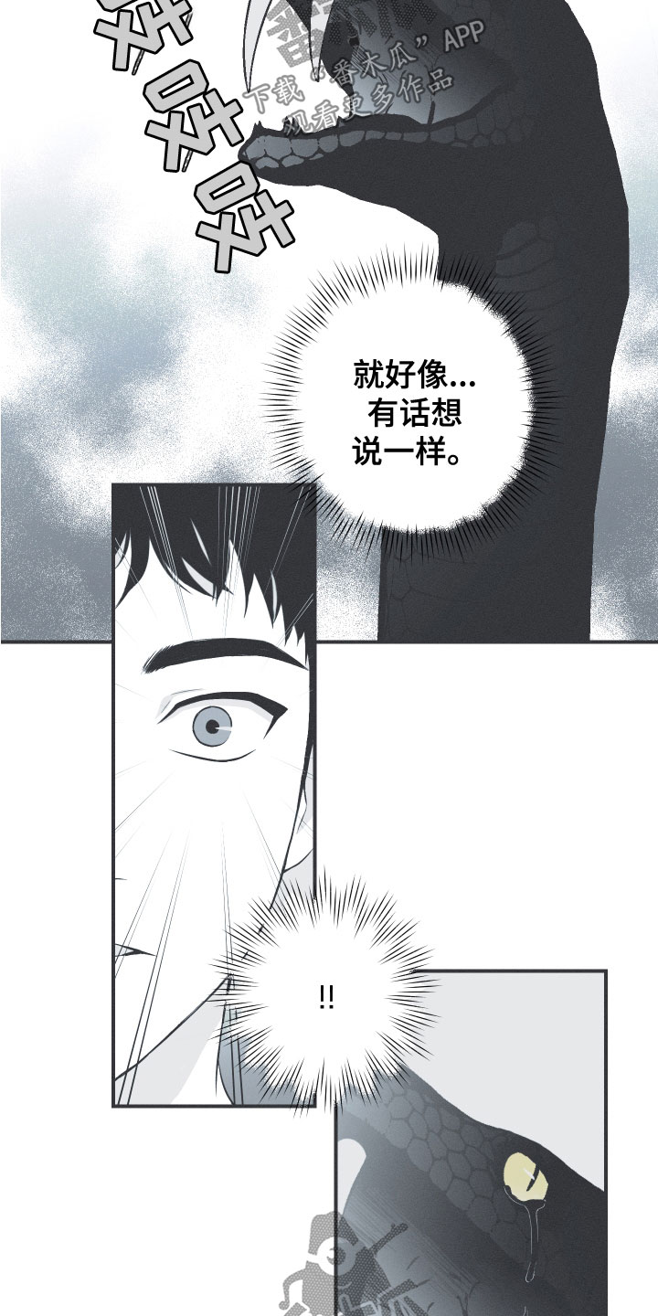 第48话13